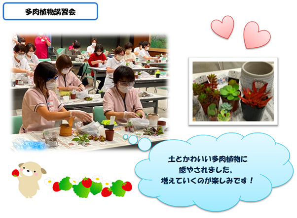 多肉植物講習会：土とかわいい多肉植物に癒やされました。増えていくのが楽しみです！