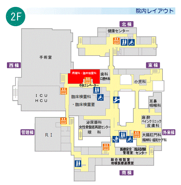 図：院内レイアウト