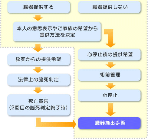 当院で行える臓器提供の流れ２